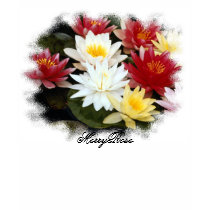 Pretty Colorful Lilies t-shirts