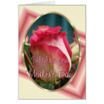 Pretty Coral Bi-color Rose- any occasion Card