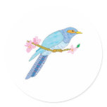 animal images, animals, pet, pets, dooni designs,