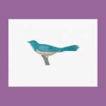 pretty cuckoo bird