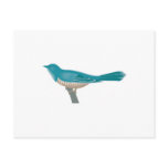 animal images, animals, pet, pets, dooni designs,