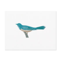 pretty cuckoo bird postcards by doonidesignsanimals pretty cuckoo bird postcards