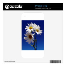Pretty Daisies iPhone 4S Decal