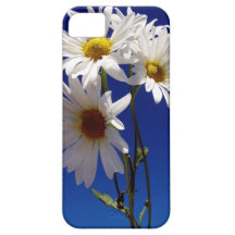 Pretty Daisies iPhone 5 Case