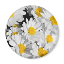 Pretty Daisies Magnets