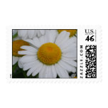 Pretty Daisies Postage Stamp
