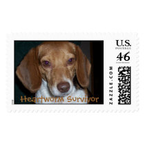 pretty daisy, Heartworm Survivor postage