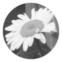 Pretty Daisy stickers by princessklb07 Pretty Daisy stickers