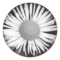 Pretty Daisy stickers by princessklb07 Pretty Daisy stickers