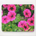 Pretty deep pink petunias mousepads by MerryRose Pretty deep pink petunias mousepads
