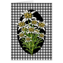 Pretty Edelweiss Flowers on Gingham Custom cards