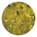 Pretty field of yellow flowers round sticker