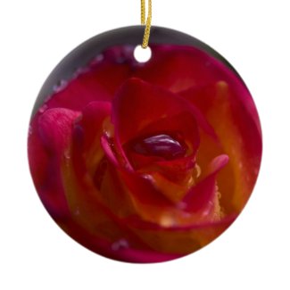 Pretty Fiery Red Rose Christmas Ornaments