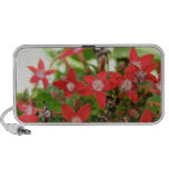Pretty Flower Doodle Speaker
