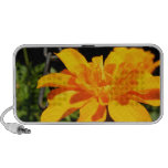 Pretty Flower Doodle Speaker