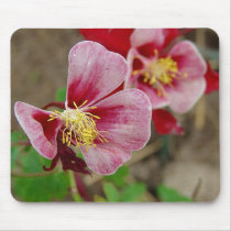 Pretty Flower mousepads by angelandspot Pretty Flower mousepads