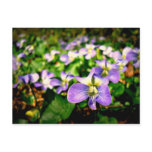 Pretty flowered Postcard