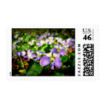 Pretty Flowered Stamps