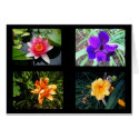 Pretty Flowers, Blank cards by princessklb07 Pretty Flowers, Blank cards