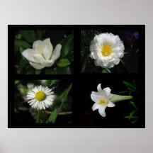 Pretty Flowers Collection White Print
