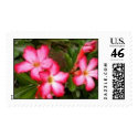 Pretty Flowers postage by kaytb86 Pretty Flowers postage