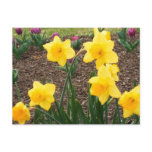 Pretty Flowers Post Cards