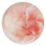 Pretty Fluffy Pink Peony Party Plates