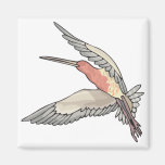 pretty flying hummingbird magnet