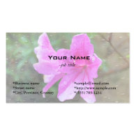Pretty, fresh pink garden flowers, rain drops business card template