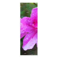 Pretty, fresh pink garden flowers, rain drops business card templates