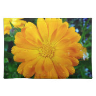 pretty, fresh yellow daisy flower placemat