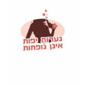 Pretty Girls Don't Fart - Hebrew t-shirts