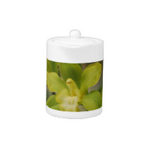 Pretty Green Orchids