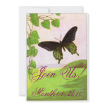 Pretty Green Vintage Butterfly Invitations