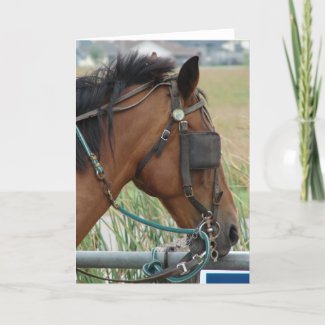 Pretty Horse card
