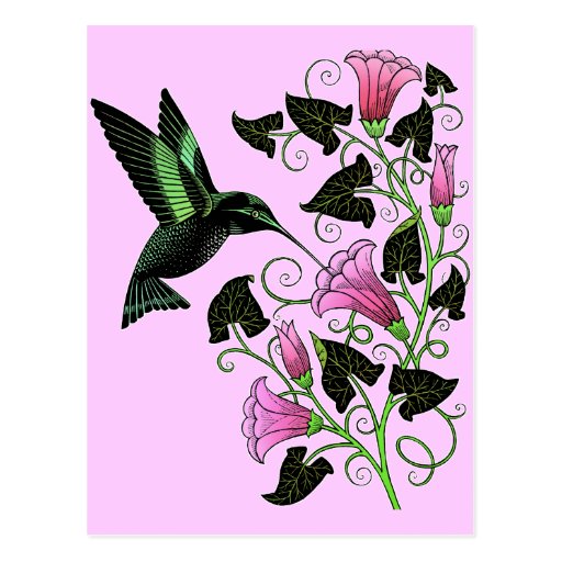 Pretty Hummingbird and Flowers Postcards
