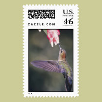 pretty hummingbird stamp by SandraTAlexander pretty hummingbird stamp