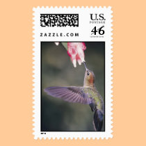 pretty  hummingbird stamp stamps