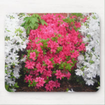Pretty in pink (and white) Azaleas mousepads