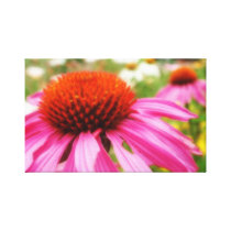 Pretty in Pink canvas prints
