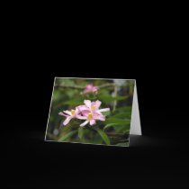 Pretty in Pink cards