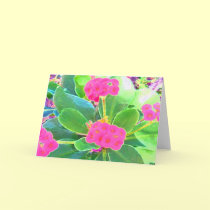 Pretty in Pink cards