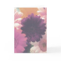 Pretty in Pink Daisy Flower Photo Greeting Card