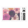Pretty in Pink Daisy Flower Postage Stamp