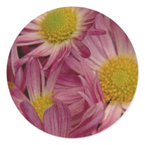 Pretty In Pink: Envelope Seals stickers