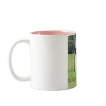 Pretty in Pink - Featuring 26 year old AQHA mare K Mug