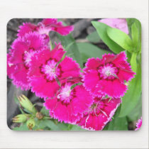 Pretty In Pink Flowers mousepads
