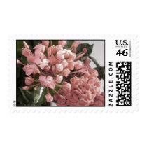 Pretty in Pink Flowers stamps