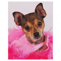 Pretty in pink flyers