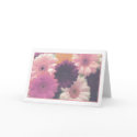 Pretty in Pink Greeting Card